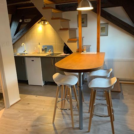 Appartement Duplex 2A Rue D'Alspach Colmar Buitenkant foto