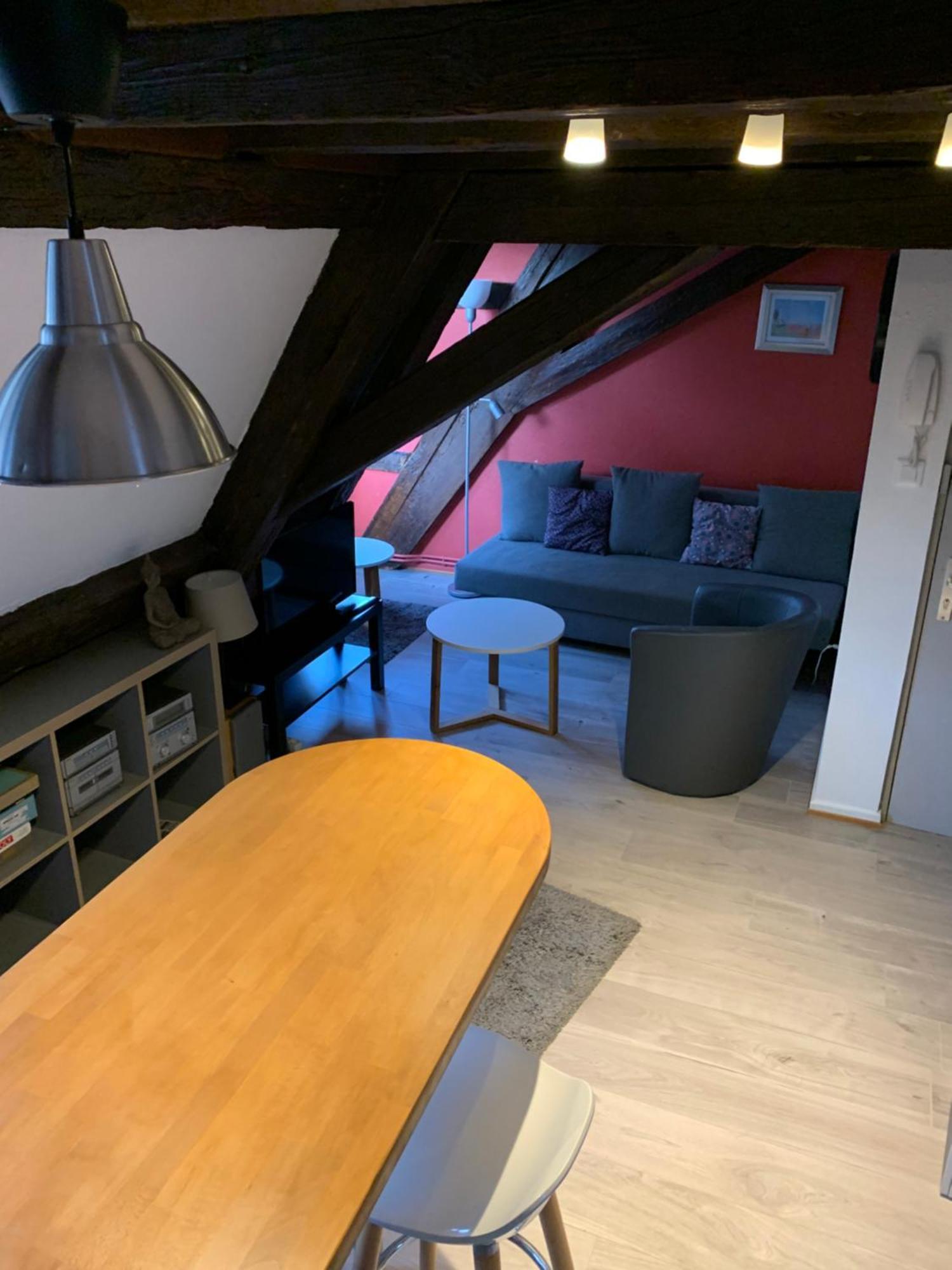 Appartement Duplex 2A Rue D'Alspach Colmar Buitenkant foto